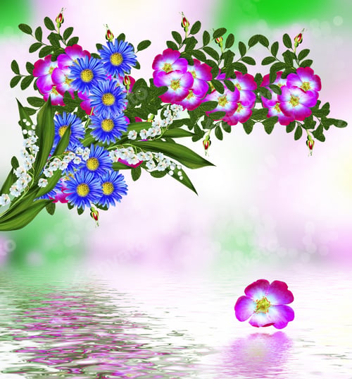 Preview: Dog Rose