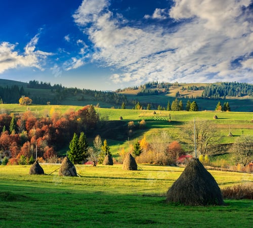 Preview: Stack Of Hay On A Green Meadow In The Mountains Near Forest In Autumn