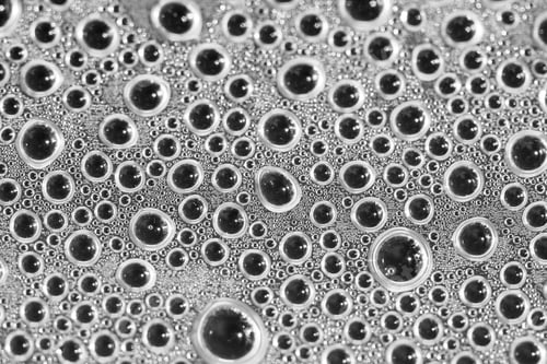Preview: Black And White Water Drops Inside The Greenhouse - Condensation On Plastic Surface