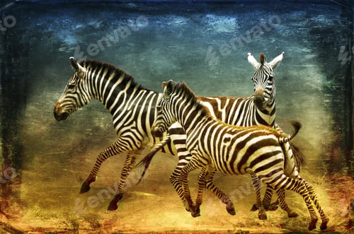 Preview: Zebras Isolated On Textured Grunge Background