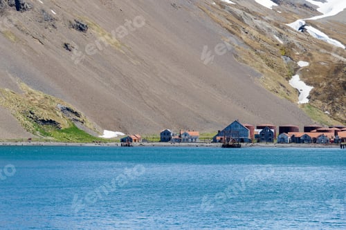 Preview: Old Whaling Station On South Georgia