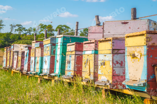 Preview: Sunny Day And Old Village Apiary