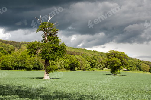 Preview: Storm Clouds Over The Summertime Countryside.