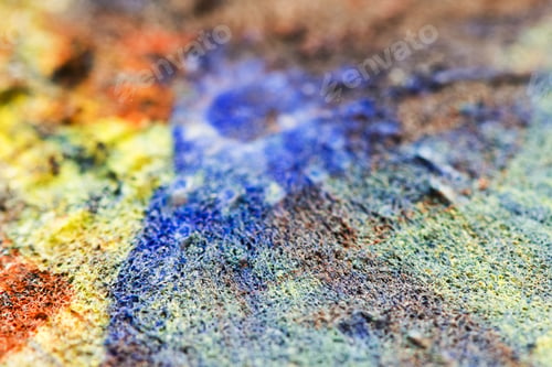 Preview: Shaddock Peel With Colorful Oil Paints - Abstract And Texture