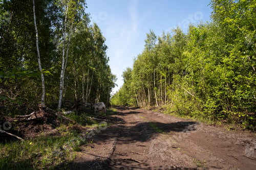 Preview: Forest Service Dirt Track Scene