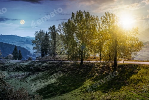 Preview: Day And Night Time Change Concept. Range Of Poplar Trees By The Road On Hillside. Beautiful Day In