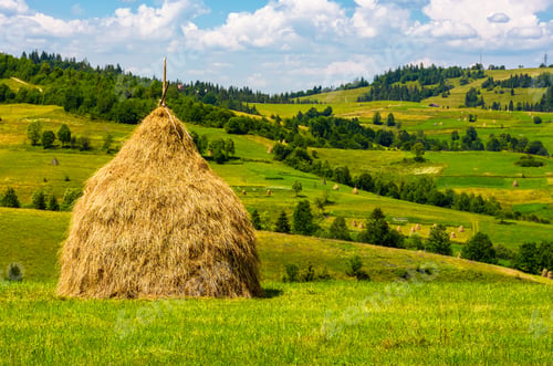 Preview: Haystack On The Grassy Field. Beautiful Summer Countryside Of Mountainous Area
