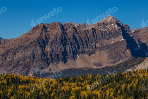 Preview: Mountain Rising Above Coniferous And Deciduous Forest In Autumn Colors. Seasons Changing, Concept