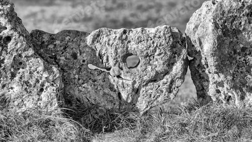 Preview: Detail From One Of The Monoliths In The Rollright Ceremonial Stone Circle On The Oxfordshire