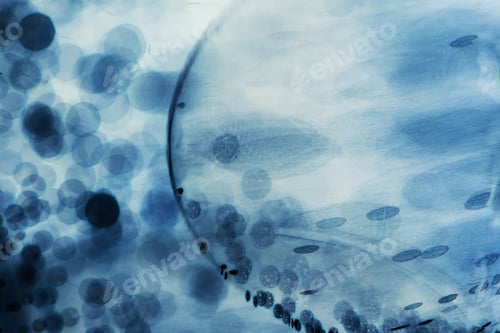 Preview: Abstract Underwater Games With Jelly Balls, Bubbles And Light