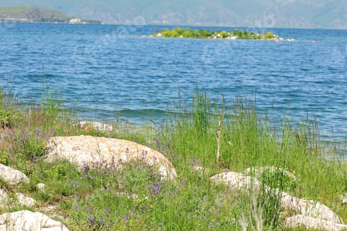Preview: Lakeside Landscape
