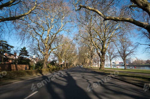 Preview: Bare Trees Casting Shadows On A Road