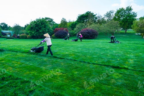 Preview: Cutting Grass At The Gardens In The Stone Forest Located In Shilin Yi Autonomous County Of Yunnan