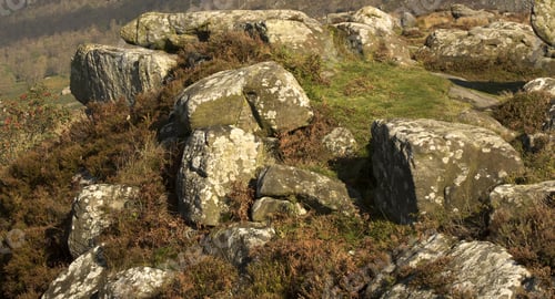Preview: Rocky Scene