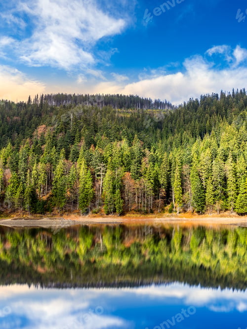Preview: Composite Autumn Landscape With Lake With Reflection In Pine Forest On Mountain Hill In Morning