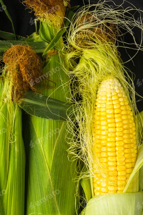 Preview: Fresh Corn On Cobs On Black Background, Closeup