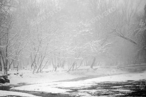 Preview: Snowing Landscape In The Park