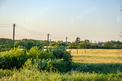 Preview: Natural Countryside View In Summer Evening. Latvia