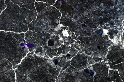 Preview: Abstract Composition With Cracked Soil And Inverted Colors