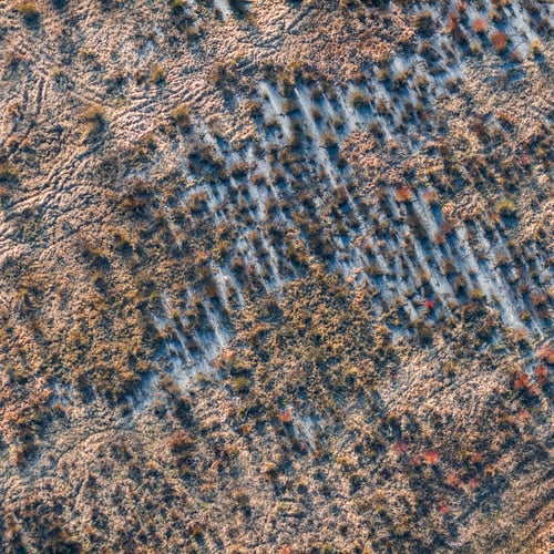 Preview: Aerial View Over The Deforested Area