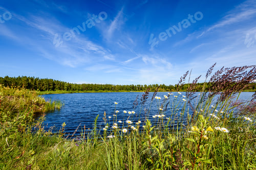 Preview: Reflection Of Clouds In The Lake With Forest And Trees In Background And Summer Flowers In