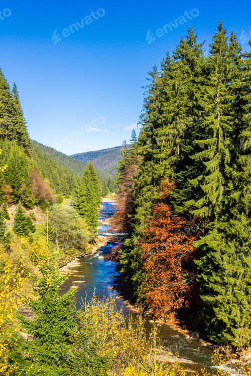 Preview: Autumn Mountain Landscape. Rocky Shore Of The River That Flows Near The Pine Forest At The Foot Of