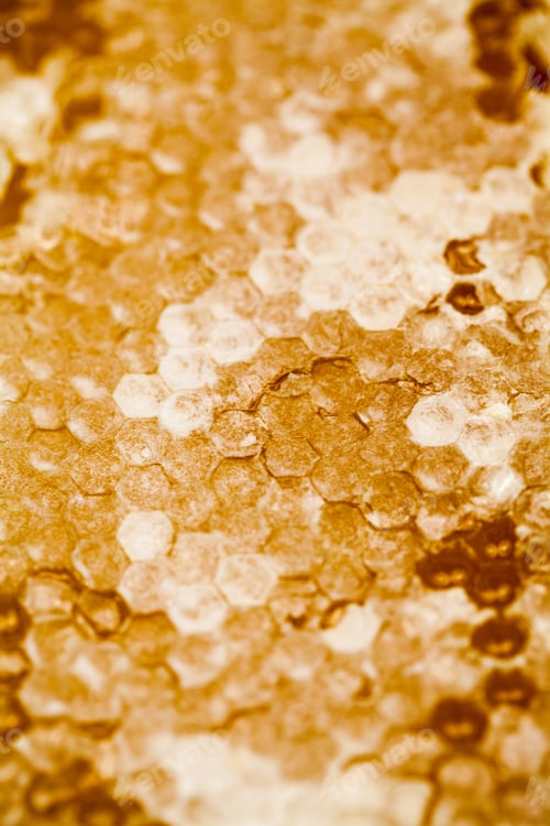 Preview: Honeycomb Filled With Honey - Details