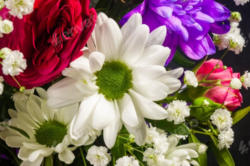 Preview: Background For A Greeting Card - Beautiful Gift Bouquet Of Various Colorful Decorative Summer