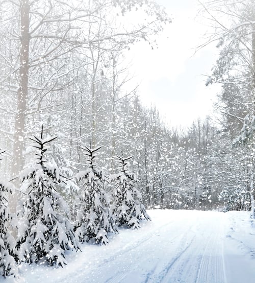 Preview: Winter. Snowfall.