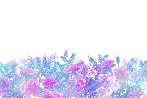 Preview: Flower On A White Background