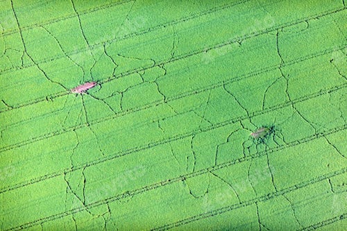 Preview: Aerial View Over The Rural Fields