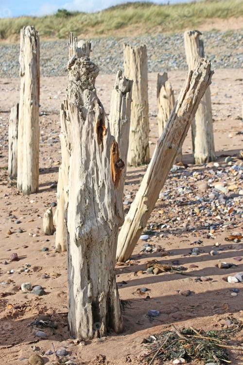 Preview: Old Wooden Groynes On A Beach