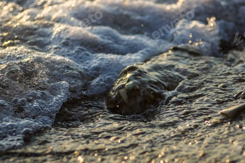 Preview: Pebble Stones On The Sea Beach, The Rolling Waves Of The Sea With Foam