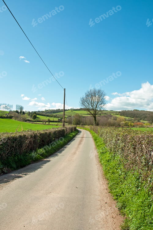 Preview: Springtime Country Lane In The British Springtime.