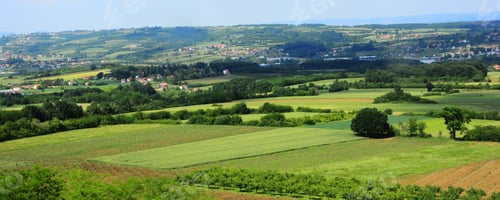 Preview: Agriculture Field Landscape