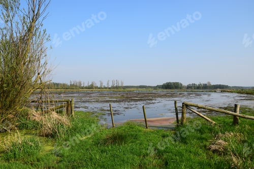 Preview: Wet Meadows In The Steinhude Nature Reserve
