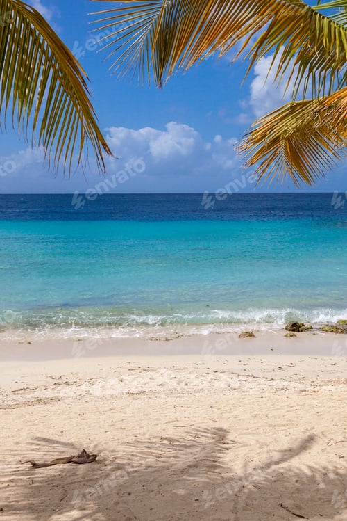 Preview: Blue Bay Beach Curacao ( Dutch Antilles) An Island In The Caribbean Ocean