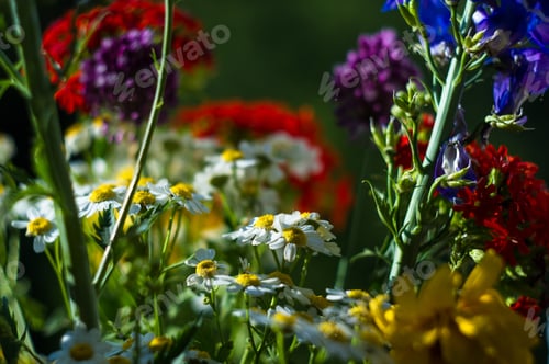 Preview: A Bouquet Of Bright Spring Flowers Of Various Types