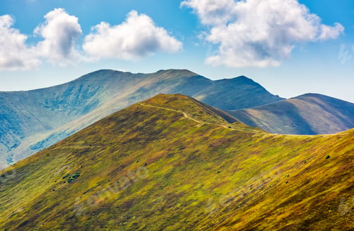 Preview: Beautiful Summer Landscape. Grassy Meadow On A Hillside Of Mountain Ridge. Good Weather With Blue