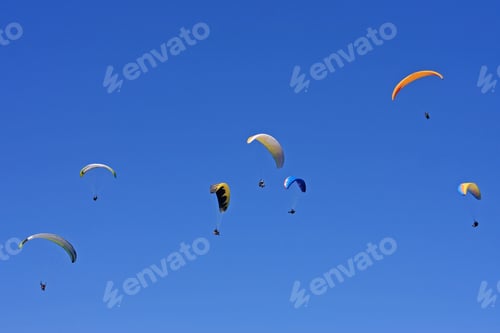 Preview: Paragliders