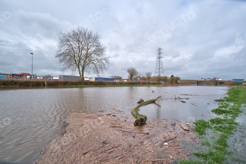 Preview: Flooded Landscape Background
