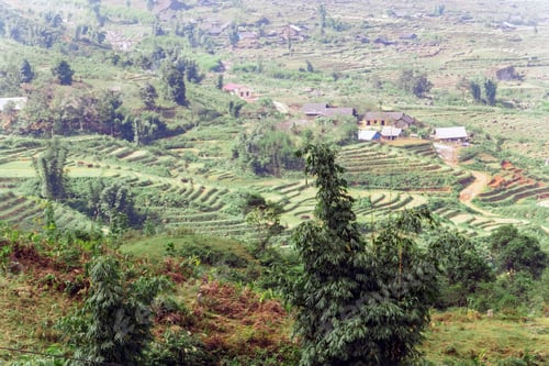 Preview: Rice Terraced Of Mu Cang Chai, Vietnam.