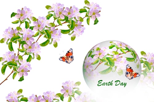 Preview: Flowering Branch Of Cherry Isolated On A White Background. Earth Day
