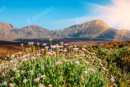 Preview: Sunset Over Teide Volcano In Tenerife, Canary Island, Spain
