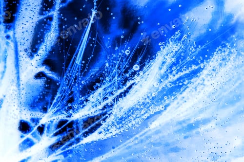 Preview: Colorful Underwater Dandelion Seeds With Bubbles