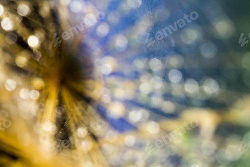 Preview: Natural, Colored Abstract Background With Bokeh