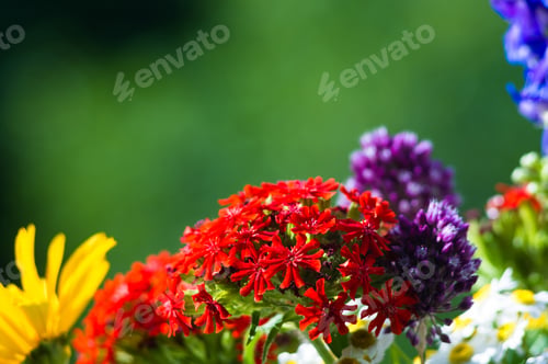 Preview: A Bouquet Of Bright Spring Flowers Of Various Types