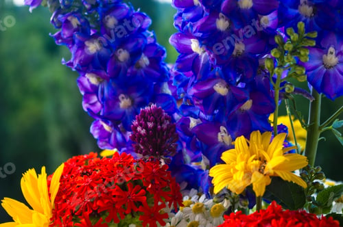 Preview: A Bouquet Of Bright Spring Flowers Of Various Types