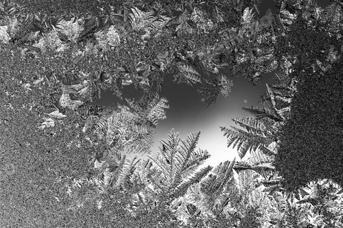 Preview: Ice Flowers On Glass - Texture
