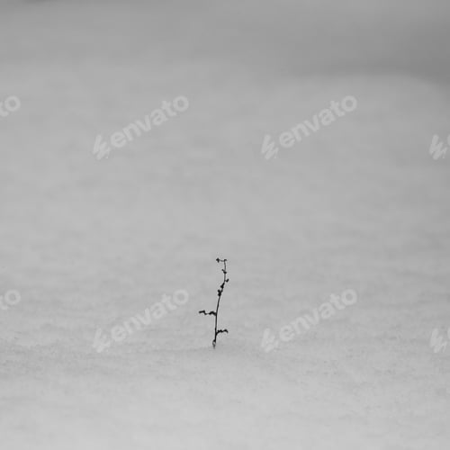 Preview: Winter Stories